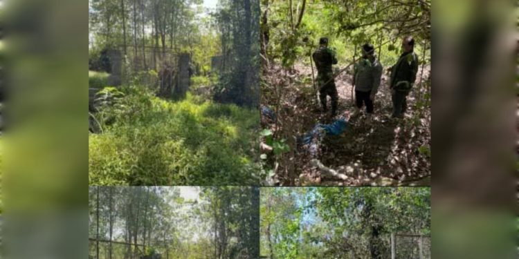 رفع تصرف اراضی ملی در آستانه اشرفیه