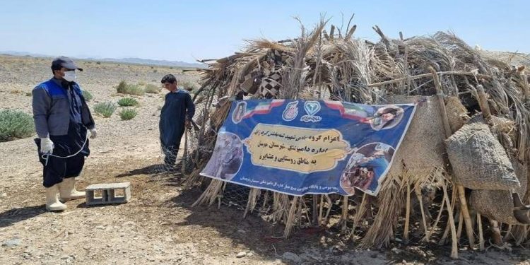 خدمات رایگان دامپزشکی مهرستان در هفته وحدت