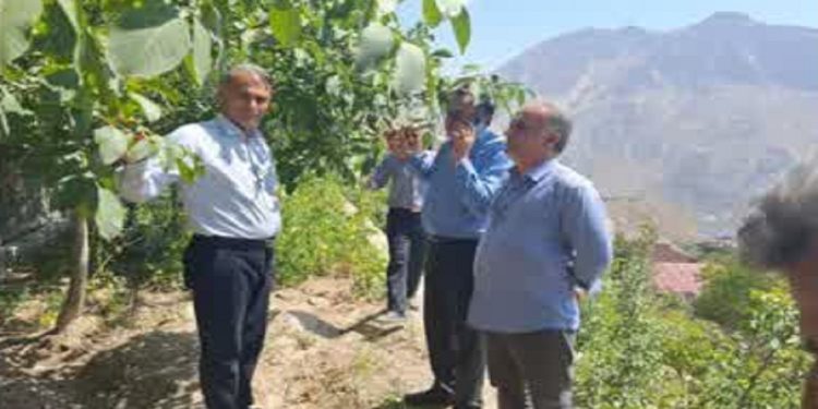 توسعه آبیاری نوین در دستور کار جهاد کشاورزی آمل