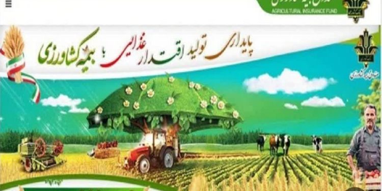 پرداخت ۷۳ میلیارد ریال غرامت بیمه به کشاورزان خسارت دیده گلوگاهی