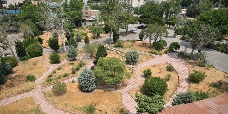 ساخت دو بوستان به ارزش ۱۰ همت در منطقه یک