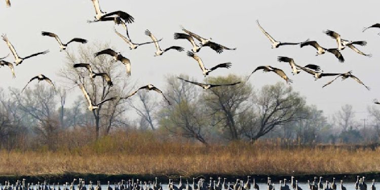 تالاب‌های پلدختر؛ آیینه‌ای از آسمان در دل لرستان