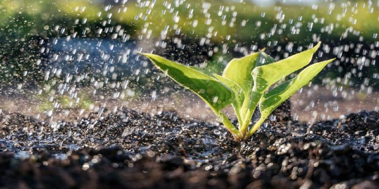 آب لرستان به کام مزارع؛ ۹۰ درصد آب شیرین در کشاورزی مصرف میشود