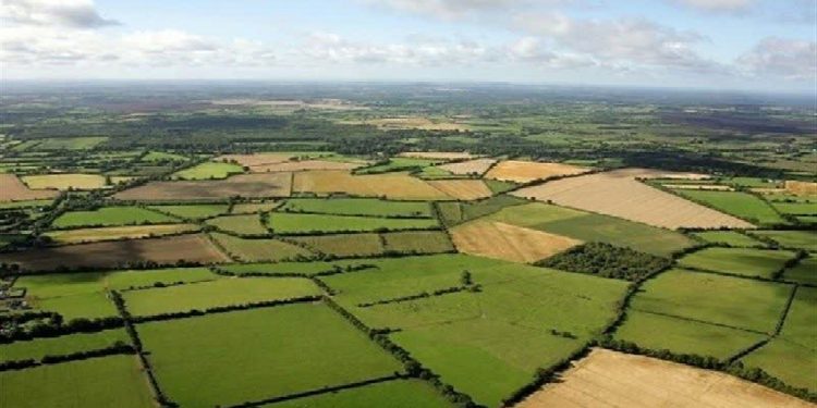 رفع تصرف بیش از ۵ هکتار از اراضی دولتی در شوشتر