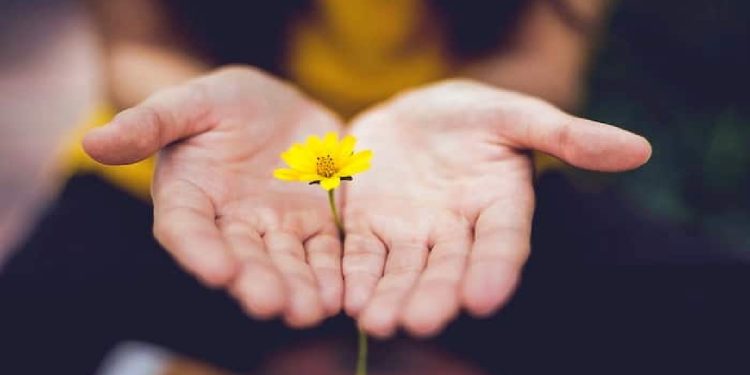 از دلی مهربان تا دست‌های منتظر