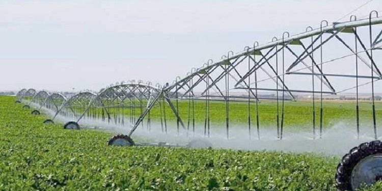ارتقای بهرهوری بخش کشاورزی اردبیل مستلزم توسعه سامانههای نوین آبیاری است