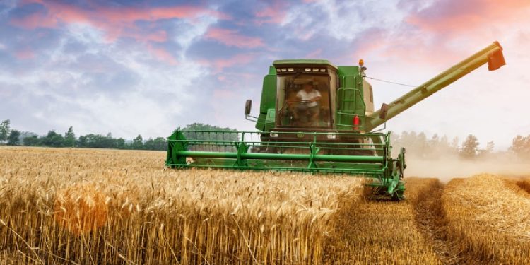 کشاورزی در لرستان بیشتر از یک حرفه؛هویت و موتور محرکه توسعه اقتصادی