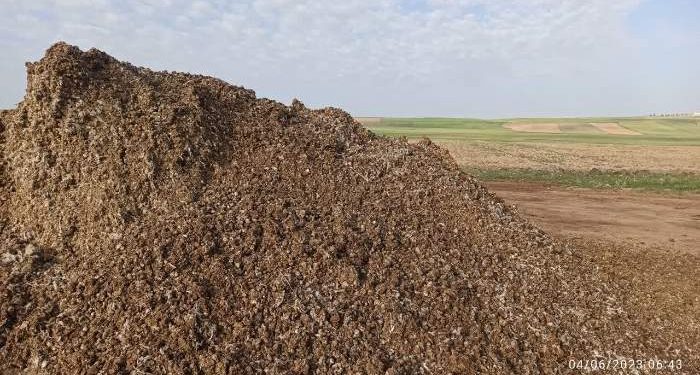 بوی کود مرغی این بار در میناب