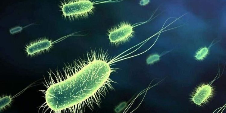 هشدار جهانی درباره شیوع وبا؛ جان هزاران نفر در خطر است