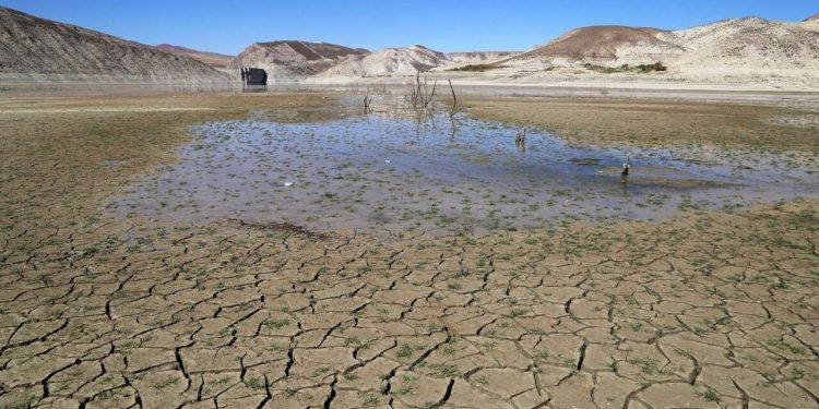 نه تنها انسانها که حیات وحش جنوب کشور هم تشنهاند