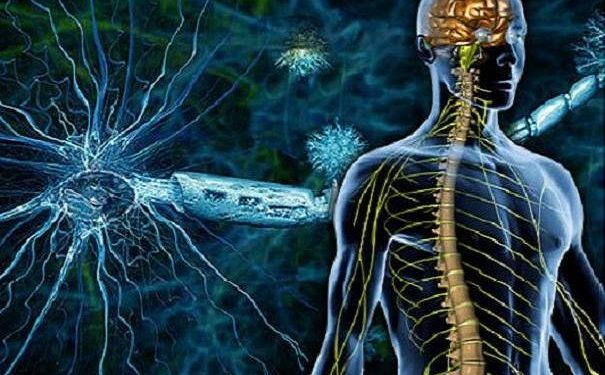 سلول درمانی بیماران ALS یک فریب تبلیغاتی است