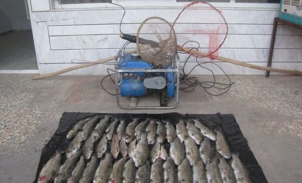 کشف ۲۱۰ قطعه سیاه‌ماهی از ۶ صیاد متخلف در شاهین‌دژ