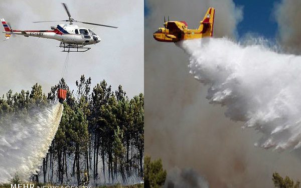 بلوطهای «سیه چل» در نبود تجهیزات سوختند؛ نیاز ایلام به بالگرد آبپاش