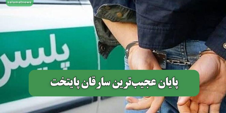 پایان عجیب‌ترین سارقان پایتخت