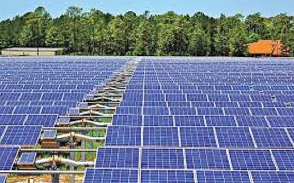 واگذاری ۱۱۰۰ هکتار زمین به سرمایه‌گذاران تولید انرژی پاک در بوشهر