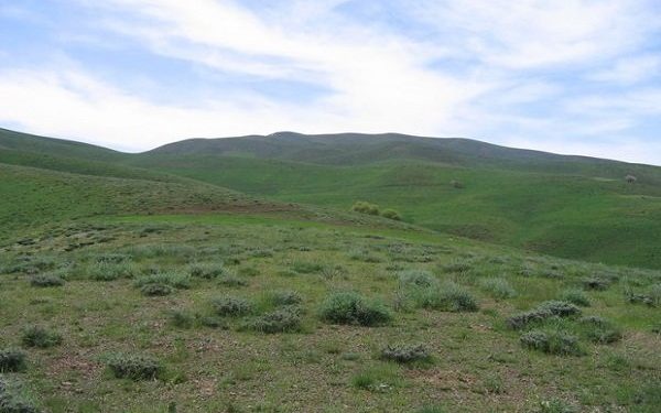 طرح «مدیریت چرا» امسال بر اساس ضوابط قانونی در دهلران اجرا میشود