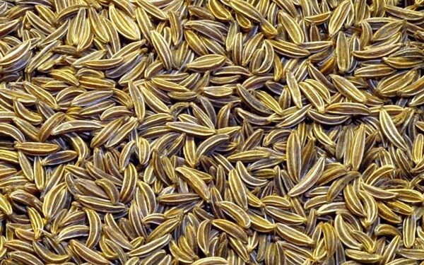 نقش عوامل اقتصادی در تولید و فرآوری زیره سبز