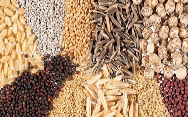 کامیون حامل ۵ تن خوراک طیور فاقد مجوز در الیگودرز توقیف شد