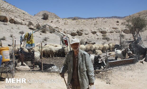 ارزش تولیدات عشایر استان ایلام سالانه ۵ هزار میلیارد تومان است