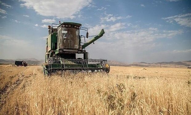 پرداخت ۱۵۰۰ میلیارد تومان به گندم‌کاران مازندران