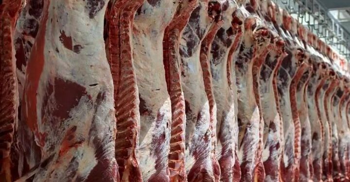 تکمیل چرخه توزیع هوشمند گوشت قرمز در کرمانشاه