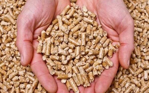 پروانه بهره برداری یک واحد خوراک دام و طیور در سمنان صادر شد