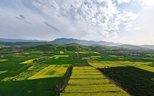 رفع تداخل ۱۲۱۷ پلاک ثبتی در اراضی کشاورزی همدان