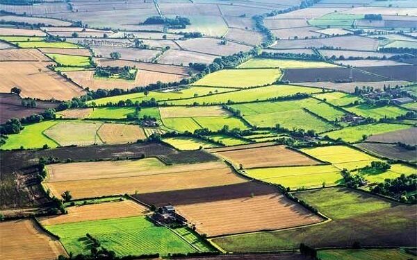 ۷۱۴ مورد نظارت بر مجوزهای تغییر کاربری اراضی کشاورزی لرستان انجام شد