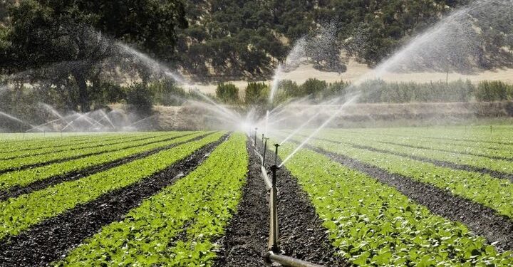 ۶۶ هزار هکتار از اراضی کشاورزی زنجان به سامانههای نوین آبیاری مجهز شد