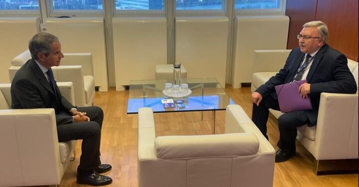 دیدار اولیانوف و گروسی درباره ایران