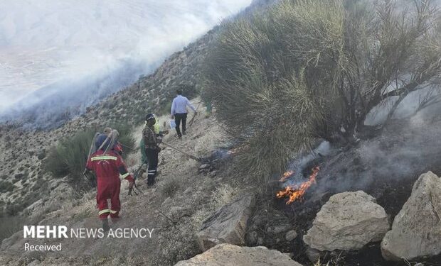 دادستان ایلام: با عوامل انسانی در آتشسوزی جنگل ها برخورد قاطع میشود