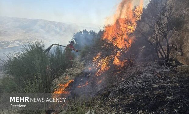 ۳۹ مورد آتش سوزی در جنگل های ایلام ثبت شد