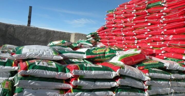 کشاورزان کود مورد نیاز کشت پائیزه خود را هر چه سریعتر خریداری کنند