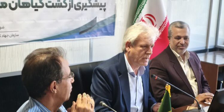 ضرورت تداوم مبارزه با کشت گیاهان ممنوعه در کرمانشاه