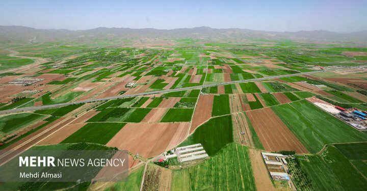 بازگشت بیش از ٣٠٠ هکتار اراضی ملی به بیتالمال در اندیمشک