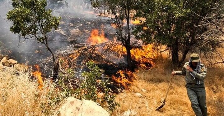 آتش سوزی جنگل های «سیه چل» ایلام مهار شد
