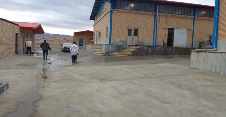 تولیدکنندگان مجاهدان عرصه اقتصاد هستند