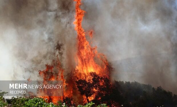 افزایش آتش‌سوزی مراتع و چالش کمبود نیرو در منابع طبیعی زنجان