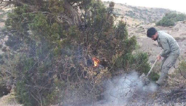 آتش سوزی جنگل های سیه‌چل ایلام