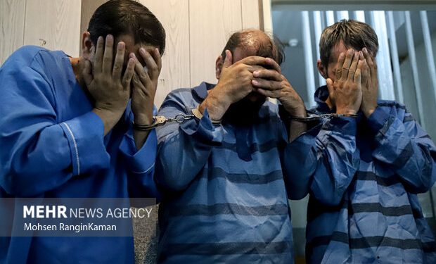 ۱۲ سارق در پلدختر دستگیر شدند