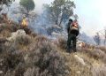 آتش‌سوزی در جنگل های«سیه‌چَل» ایلام؛ مهار آتش در حال انجام است
