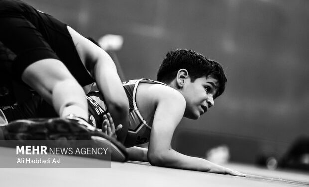 پایان جشنواره خردسالان کشتی آزاد تهران با تجلیل از قهرمانان