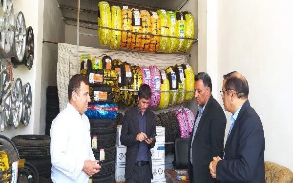 ۴۰۲ طرح اشتغالزایی در کمیته امداد دهدشت اجرا شد