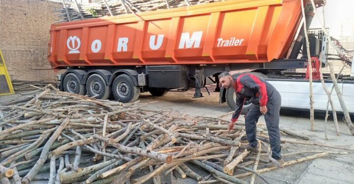 توقیف ۵ تُن بیدمشک قاچاق در قروه