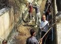 ضدعفونی و آیشگذاری مجتمع پرورش ماهی سیروان در کردستان آغاز شد