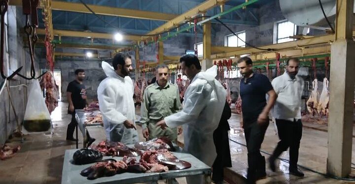 دادستان پلدختر از کشتارگاه دام این شهرستان بازدید کرد