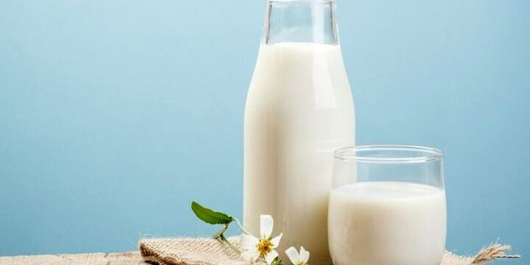 چربیهای پنهان در لبنیات: تهدیدی برای سلامت و تناسب اندام