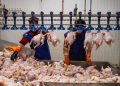 گرمای شدید و افزایش تلفات از علل گرانی مرغ در بازار است