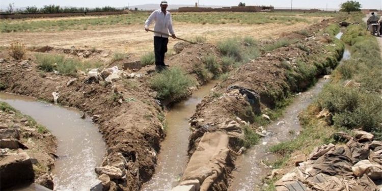 کارگروه ارتقای راندمان آبیاری در کشاورزی استان تشکیل می‌شود