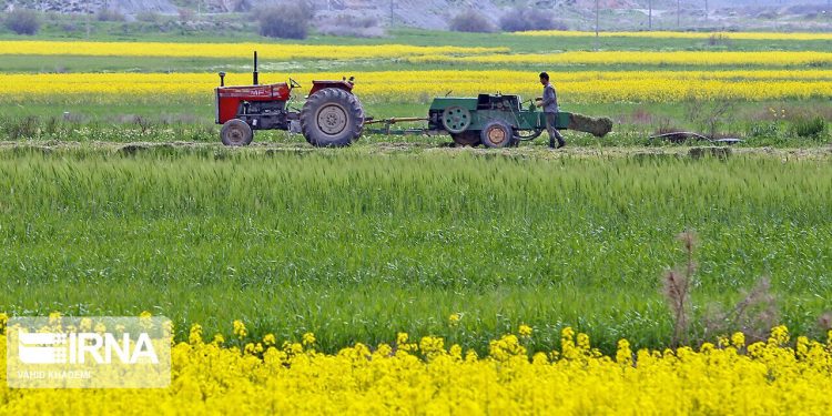 تدوین بسته‌های تشویقی برای کشاورزانی که الگوی کشت را رعایت می‌کنند